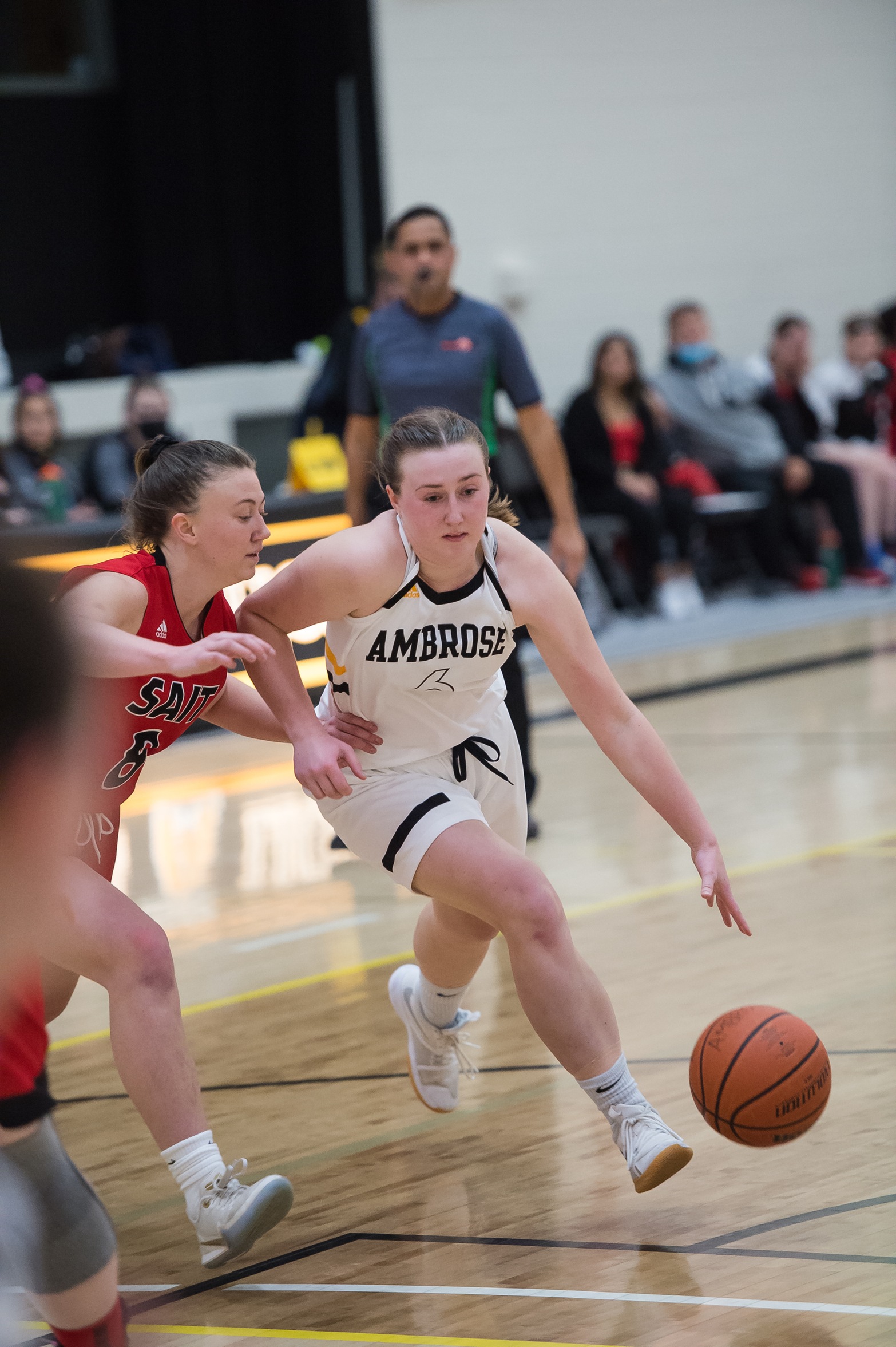 Ambrose Lions battle the Medicine Hat College Rattlers, looking for their first win of 2022.