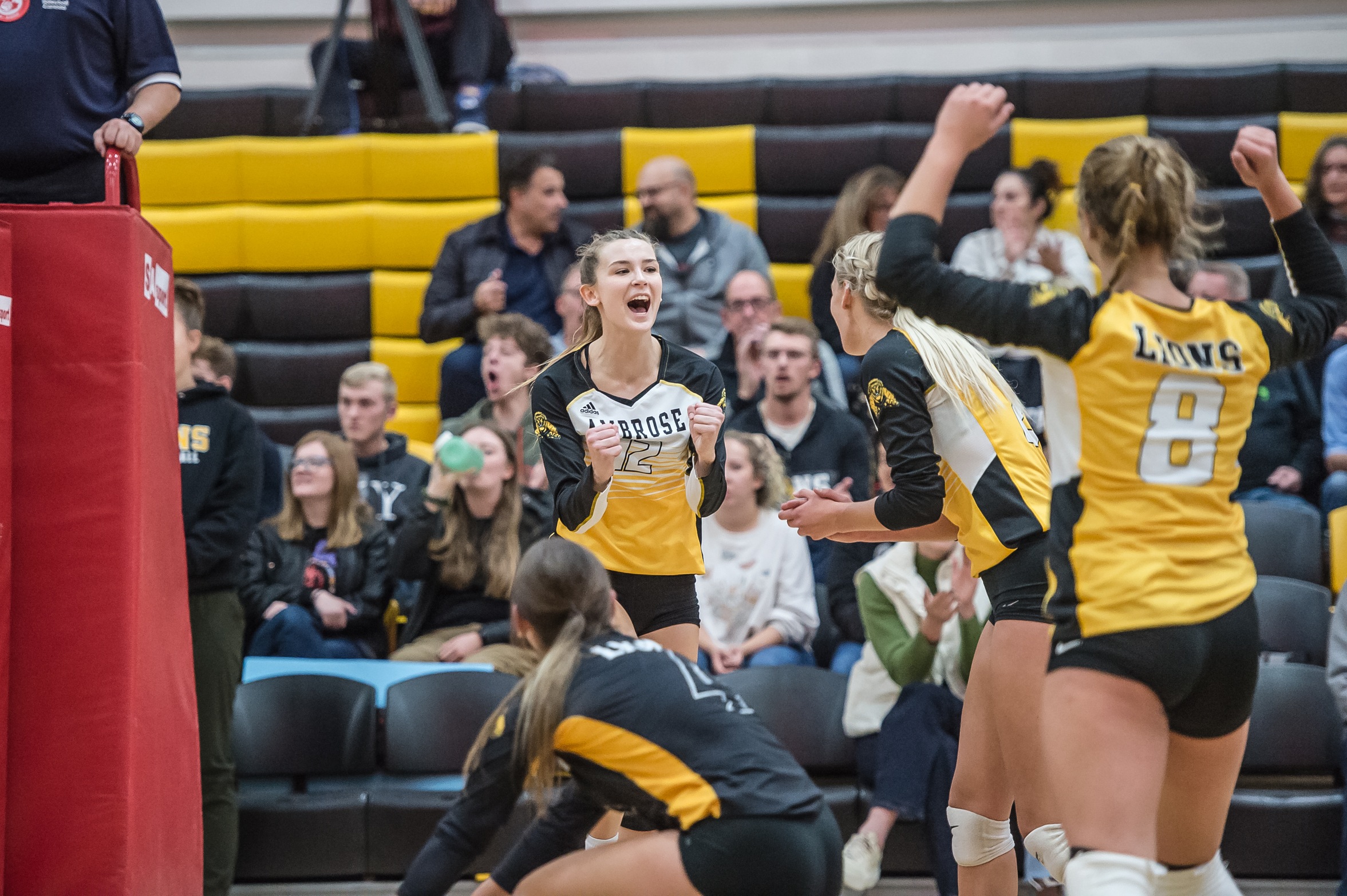 Big Home Opener Win for Women's Volleyball